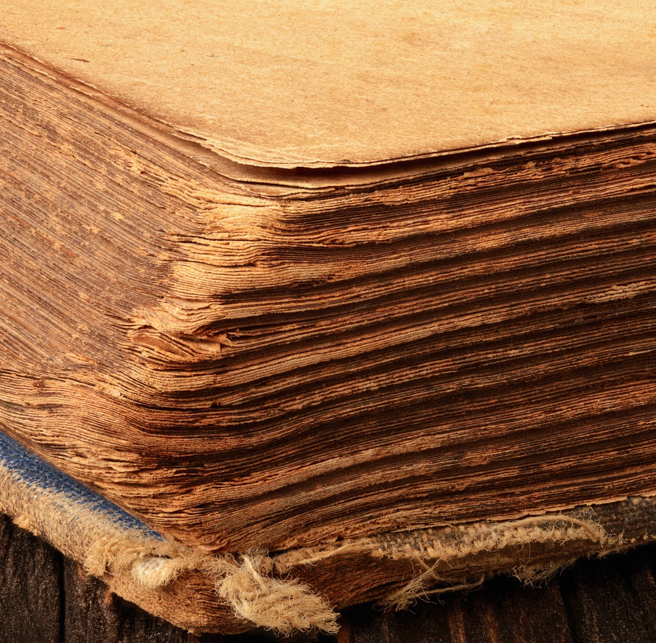 Close-up of aged book pages